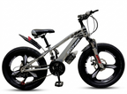 STONER 52 Aluminum Mountain Bike | Black & Grey | 20 Inch (CBF005)