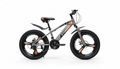 STONER 52(1) Mountain Bike - 20 Inch