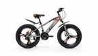 STONER 52(1) Mountain Bike - 20 Inch
