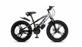SUPER Multi-Speed Mountain Bicycle - 20 Inch